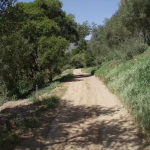 Service road between Gane House and Hansen site