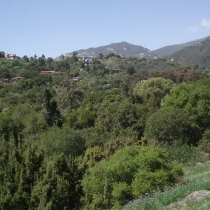 View across Mission Canyon Road looking northwest