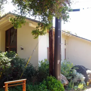 Herbarium view from north west