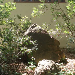 Boulder on east side of Herbarium