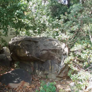 Boulder on east side of Herbarium