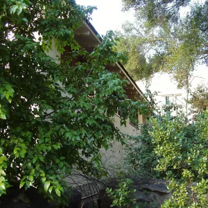 Herbarium east side