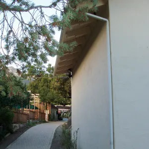 Herbarium south west corner
