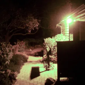 Home Demonstration Garden at night, looking south along path to east of Cottage