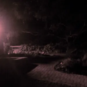 Home Demonstration Garden at night, at southeast corner of Cottage