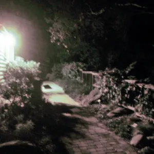Home Demonstration Garden at night, looking north along path to east of Cottage