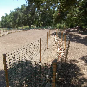 Meadow Terrace construction