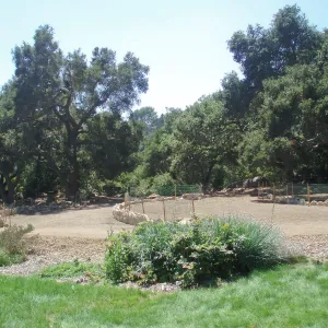 Meadow Terrace construction
