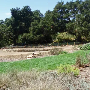 Meadow Terrace construction