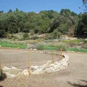 Meadow Terrace construction