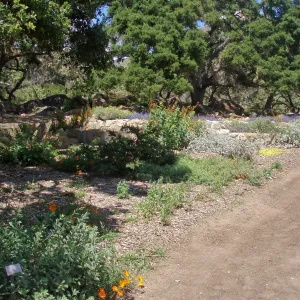 Meadow Terrace