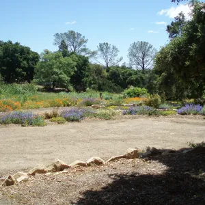 Meadow Terrace