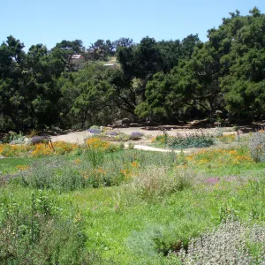 Meadow Terrace and Meadow