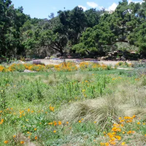 Meadow Terrace and Meadow