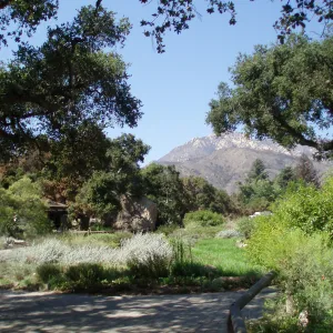 View towards north from north end of Arroyo Section