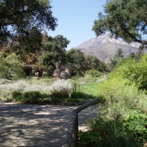 View towards north from north end of Arroyo Section