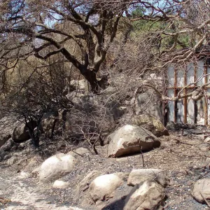 Campbell Trail and rear of Information Kiosk after Jesusita Fire