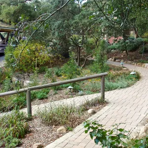 North end of the Arroyo Section, looking north