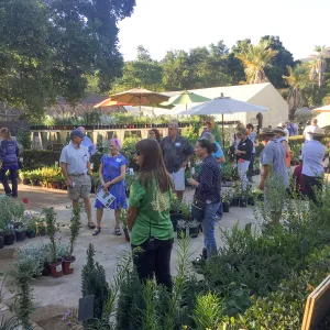 2017 Fall Plant Sale Preview Party