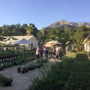 2017 Fall Plant Sale Preview Party