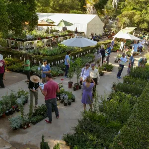 2017 Fall Plant Sale Preview Party