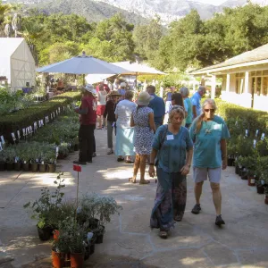 2017 Fall Plant Sale Preview Party