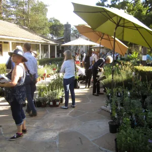 2017 Fall Plant Sale Preview Party