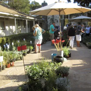 2017 Fall Plant Sale Preview Party