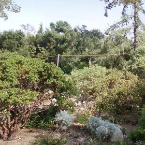 Story Poles, Manzanita Section, Vital Mission Plan