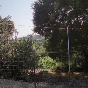 Story Poles, Garden Growers Canyard, Vital Mission Plan
