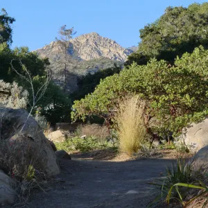Looking north across Manzanita section towards Arlington Peak