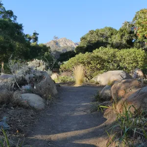 Looking north across Manzanita section towards Arlington Peak