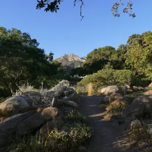 Looking north across Manzanita section towards Arlington Peak