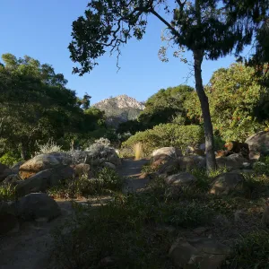 Looking north across Manzanita section towards Arlington Peak