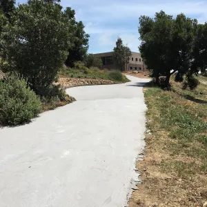Light colored ecosealant on driveway heading to Pritzlaff Conservation Center