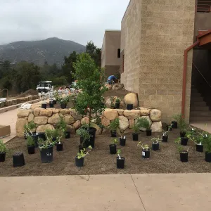 Planting the Island View Garden at the Pritzlaff Conservation Center