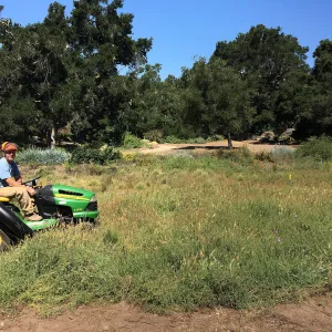 Trial meadow mowing