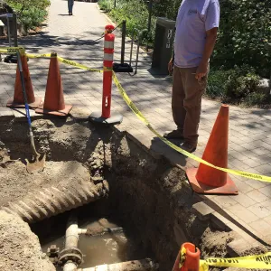 Pipe rupture at Visitor Entrance