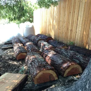 Redwood logs for benches