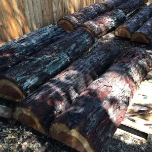 Redwood logs for benches