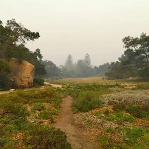 Groundcover Section, Meadow and Blaksley Boulder in smoke from Thomas Fire