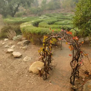Centennial Maze in smoke from Thomas Fire