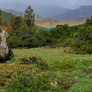 Low rainbow over the Meadow