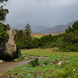 Low rainbow over the Meadow