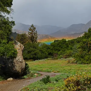 Low rainbow over the Meadow