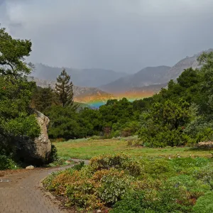 Low rainbow over the Meadow