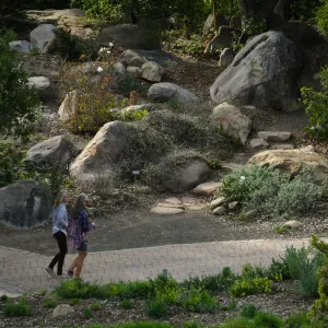 Visitors between Meadow and Mission Dam overlook