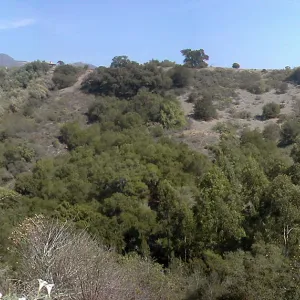 Cavalli Ridge