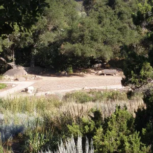 Meadow Terrace Construction