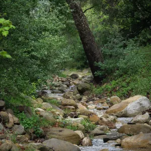 Mission Creek